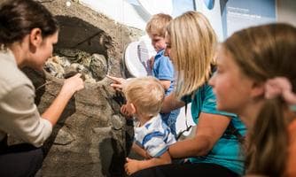 Kindergarten Forscherclub: Tiere im Nationalpark