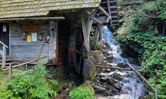 'Frühjahrswanderung zur Mühle