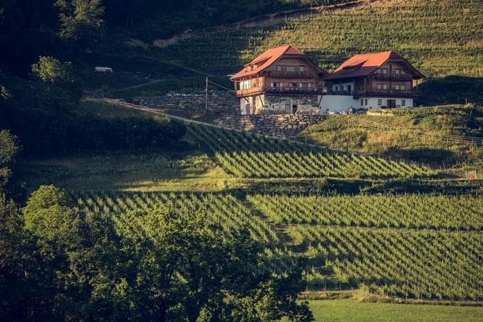 Grüner Stern und rote Schnecke - Slow Food Chef Alliance