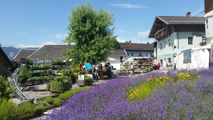 25. Irschner Kräuterfestival