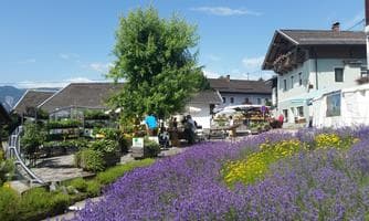 25. Irschner Kräuterfestival
