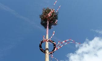Maibaum in Grafendorf