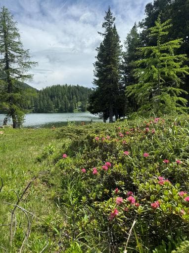 Abendlob am Turracher See