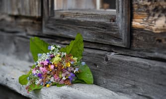 kostenlos geführte Wanderung - Kärntens Blumenberg