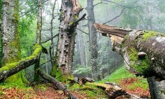 UNESCO Welterbe Tour: Durch´s Hintergebirge
