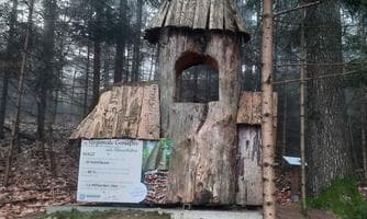 Ausflugsfahrt zum Adlwanger Waldlehrpfad