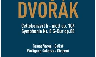 Waidhofner Kammerorchester