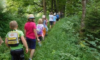 Bis bald, im Wald
