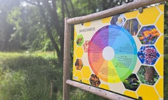 Tal der Bienen