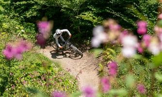 E-Bike Fahrtechnik Workshop