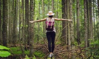 Zur Ruhe kommen & Gesundheit stärken – Waldbaden