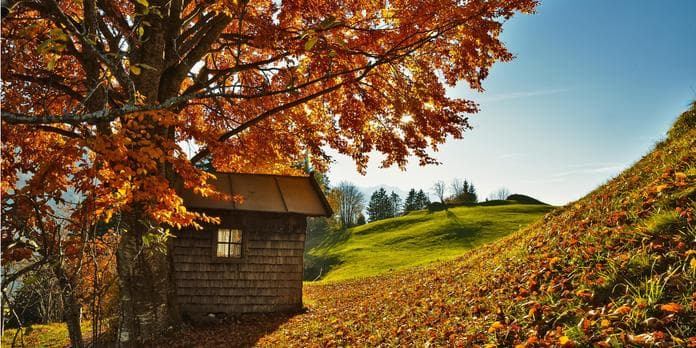 "Special" - Herbstwanderung mit Alexandra