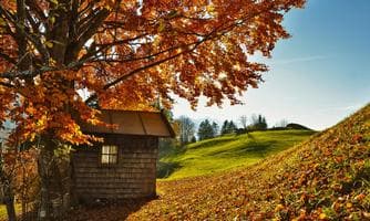 "Special" - Herbstwanderung mit Alexandra
