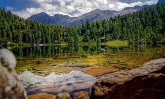 Geführte Wanderung: Reedsee