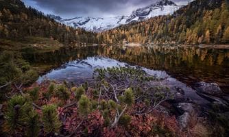 Geführte Herbstwanderung: Naturjuwel Reedsee