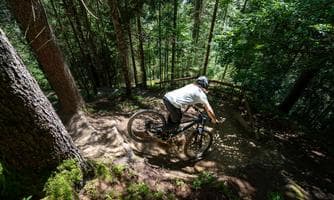Flow MTB & Enduro