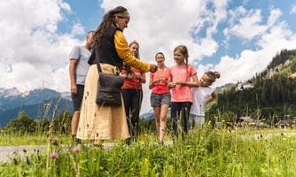 Heilpflanzenwanderung
