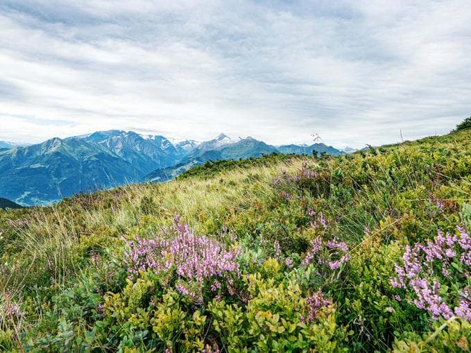 Geführte Wanderung zu den Schätzen der Natur