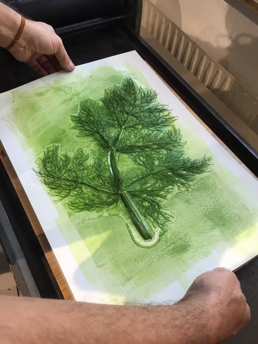 NATURabDRUCK – originelle Pflanzendruck auf Stoff oder Papier