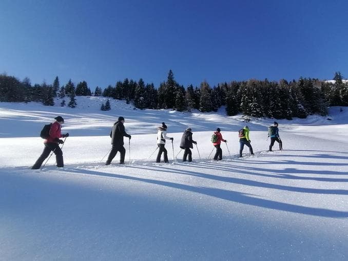 Snowshoe Hike for Mountain Enthusiasts