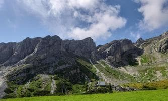 Geführte Bergblumenwanderwochen