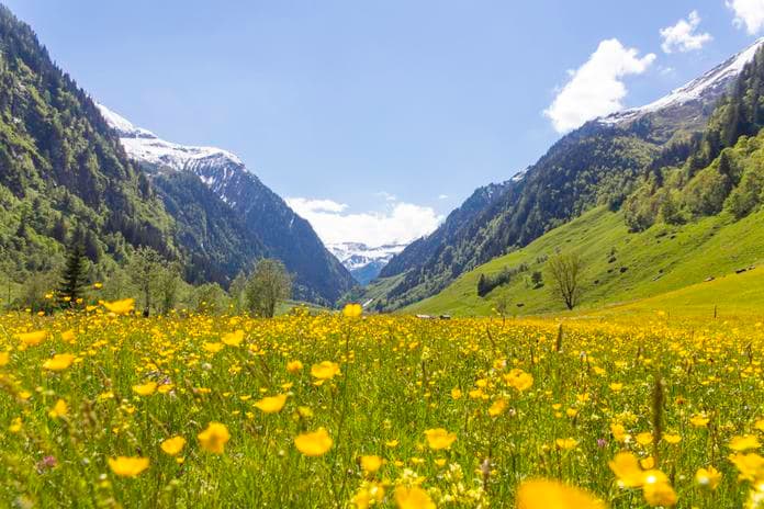 Nationalpark Exkursion ins Tal der Almen