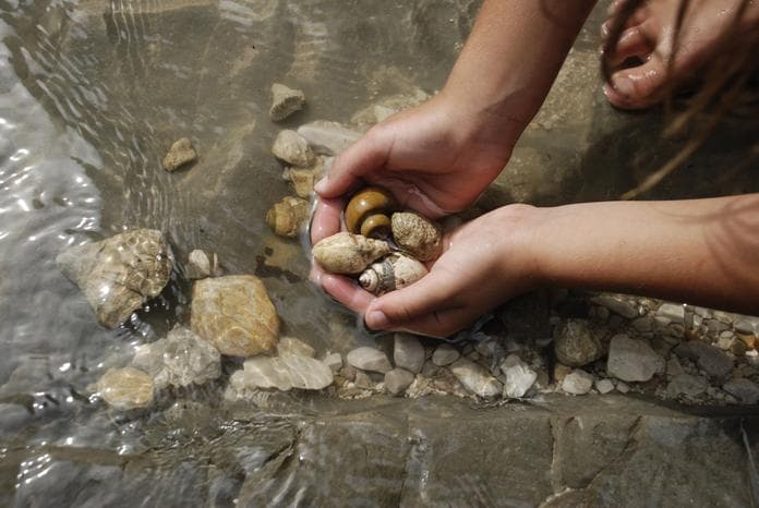 Wandern mit Betty: Fossilienwanderung individuell