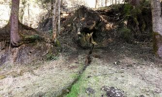 Wanderung zur Abtenauer Heilquelle