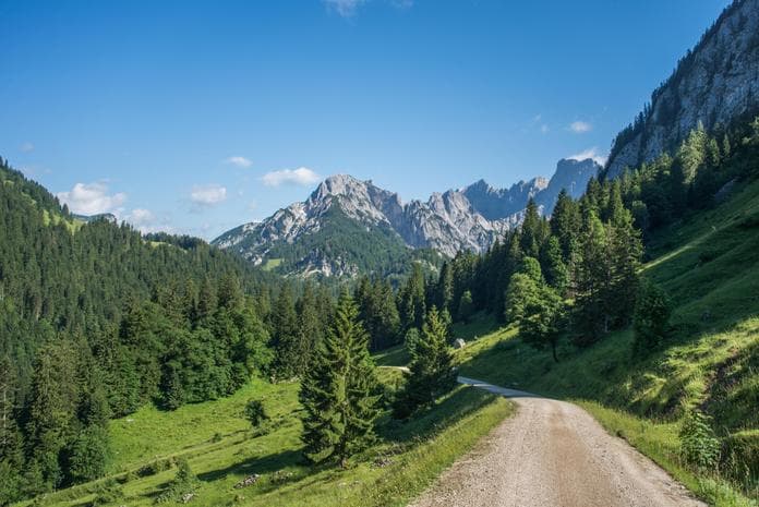"Born to be wild" - Tiere im Naturpark Weißbach