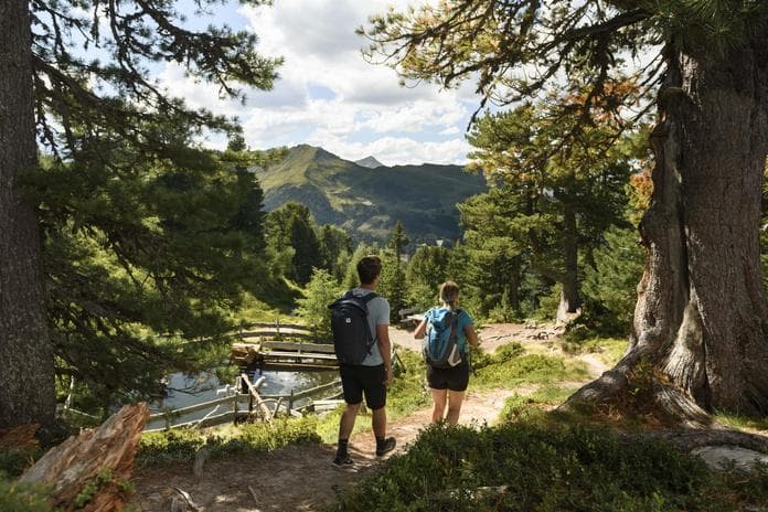 Geführte Zirbenzauber Wanderung am Graukogel