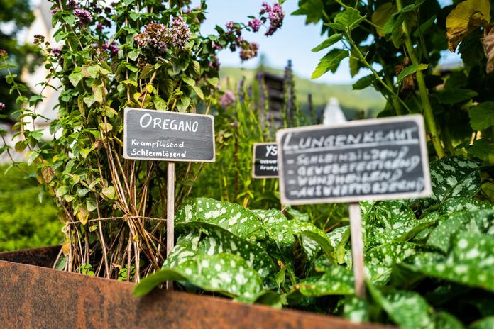 Natur mit allen Sinnen erleben - Eine Runde für die Gesundheit