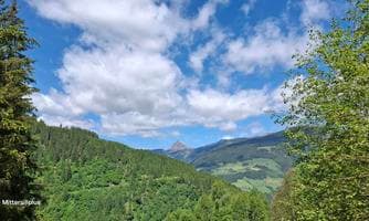 Geführte Wanderung im Lachwald