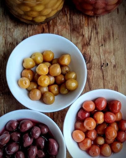 Wildfrüchte fermentieren