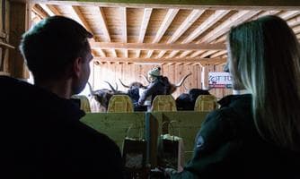 Zottlhof-Kino/'cattle-watching' im Offenstall