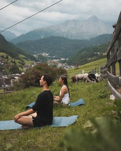 Yoga mit Alpakas