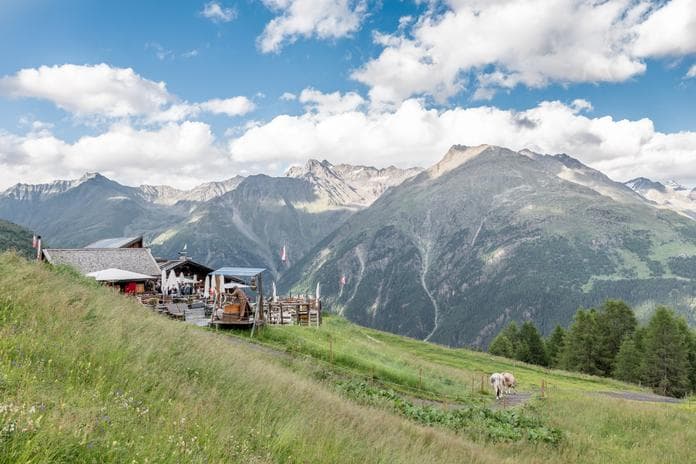 Die Welt der Bienen