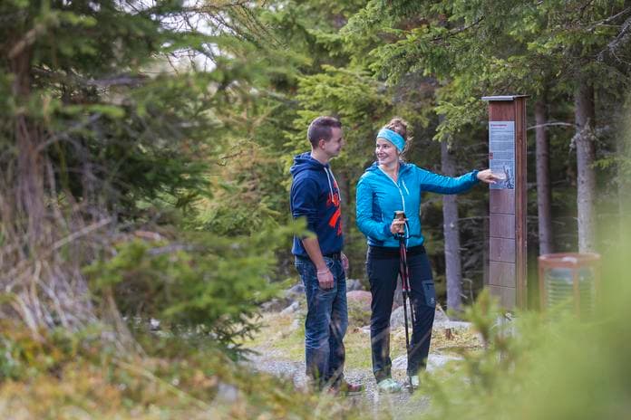 *Hüttentaxi Alpengasthof am Feuerstein