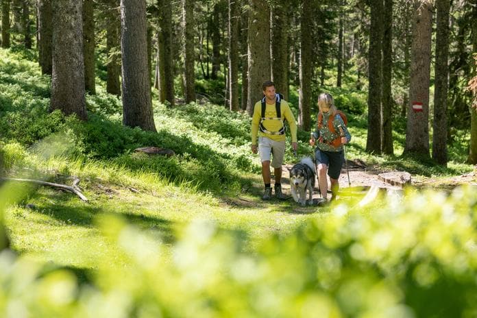 Begleitete Wanderung - mit Herta Palzenberger