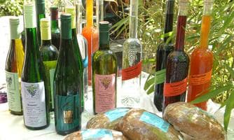 Winzermarkt vor dem Schloss Mirabell