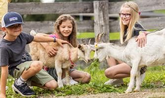 Family Aktiv - Überraschungstag rund um Zell am Ziller