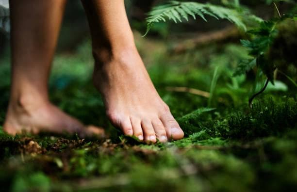 Aktiv Wellness - Waldbaden