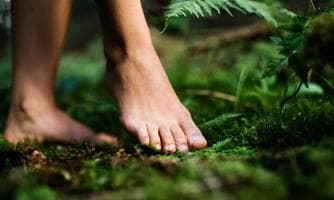 Aktiv Wellness - Waldbaden