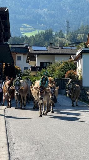 Almabtrieb