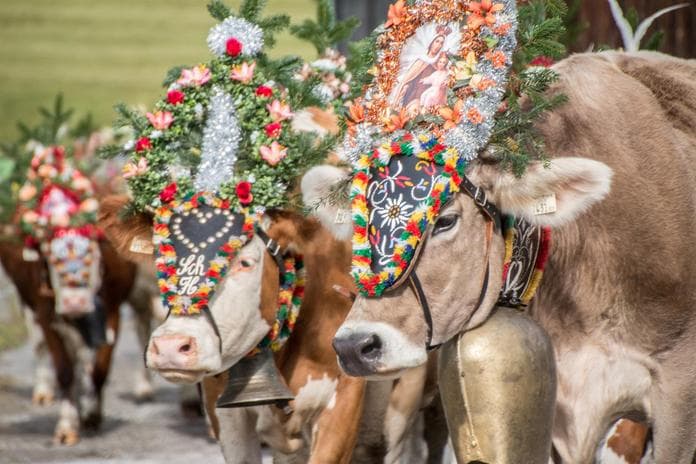 Grosses Almabtriebsfest mit Dorffest in Zell am Ziller