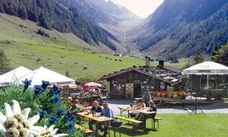 Musikalischer Almsommer auf der Schwarzachalm