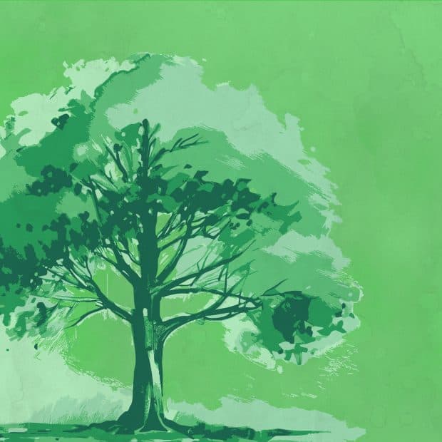 Mittwoch
        
        
        
    
        
        
                
            Qi Gong