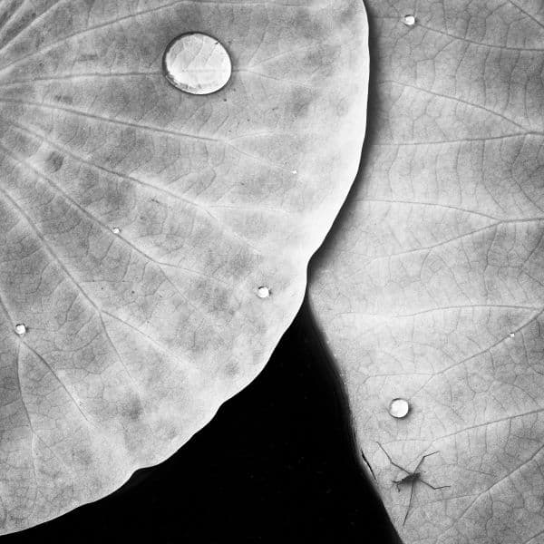 Fotografie und Meditation – The ZEN of Photography