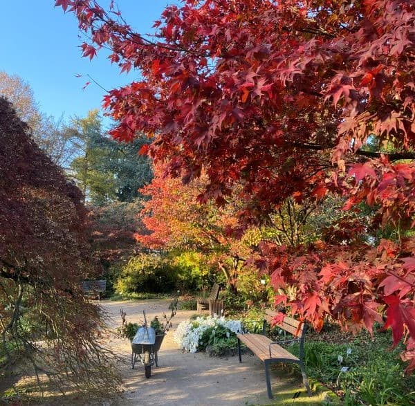 Den Herbst erleben