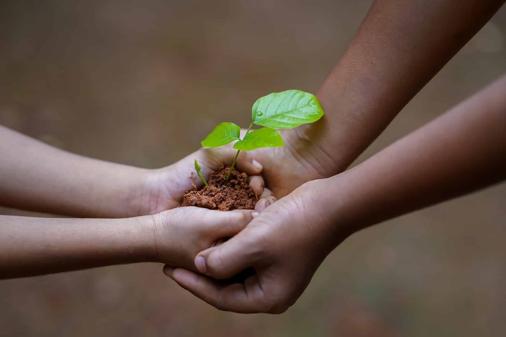 Mindful Parenting – Onlinekurs für gelassene Eltern