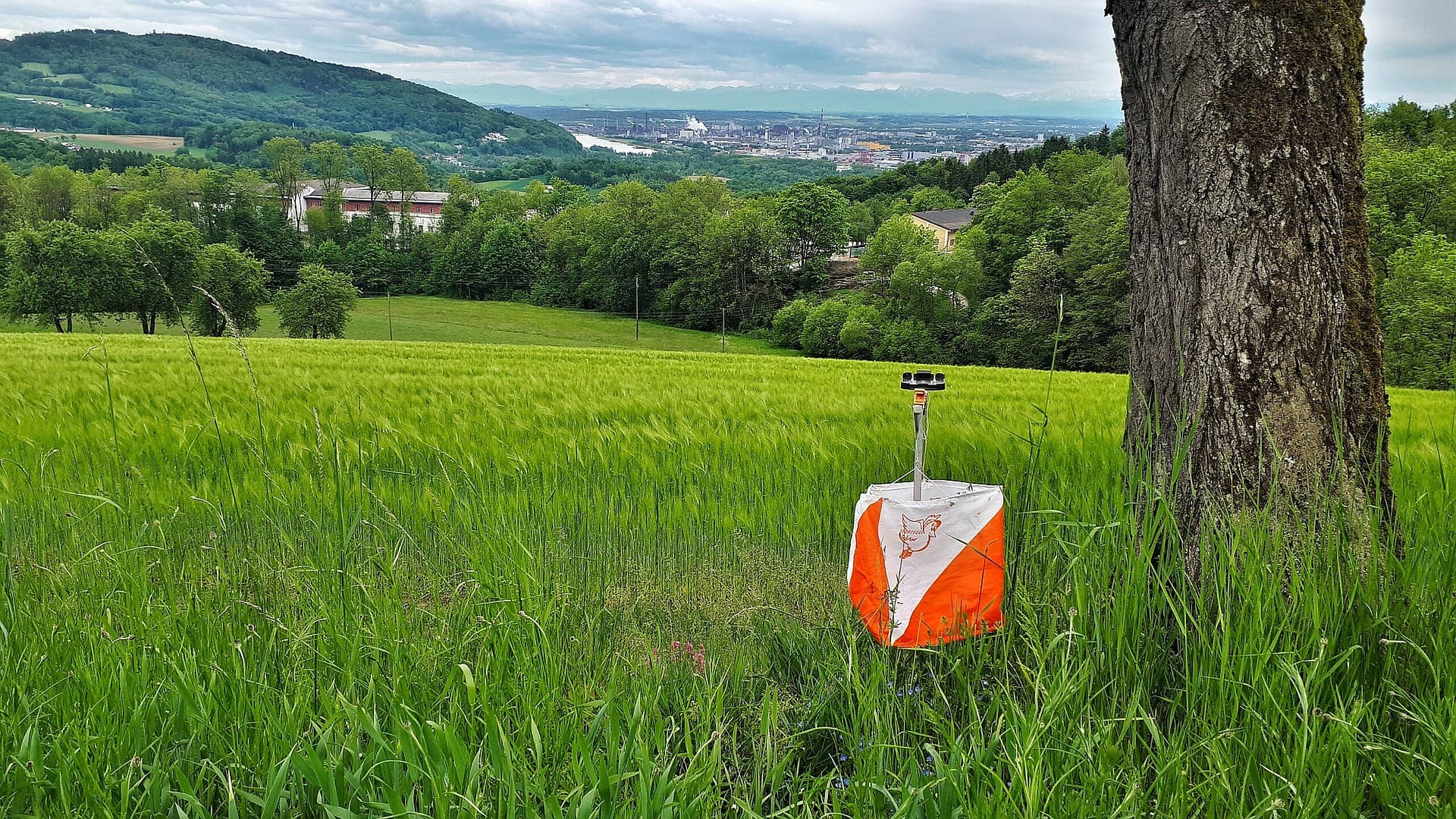 FUN-Orientierungslauf Freinberg